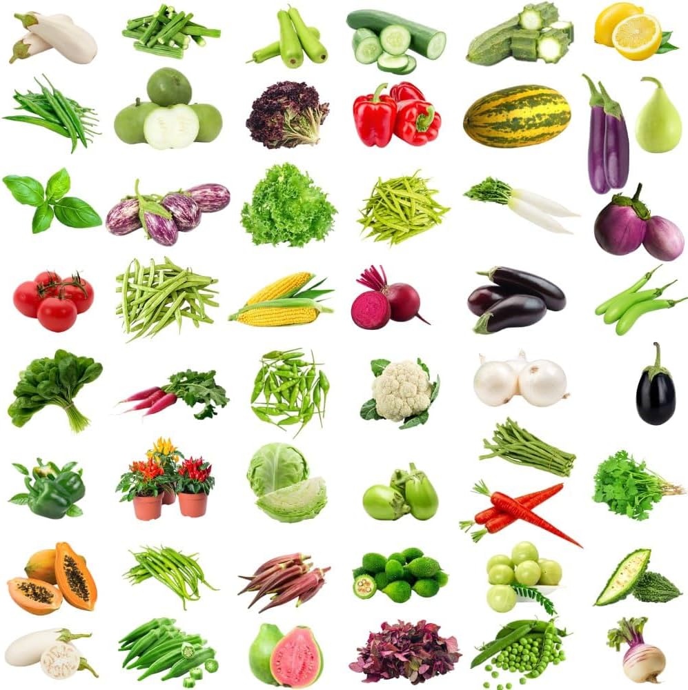 FRESH INDIAN VEGETABLES