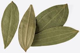 Bay Leaf