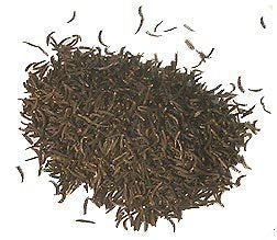 Black Cumin Seeds