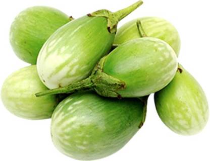 Fresh Brinjal Green Round