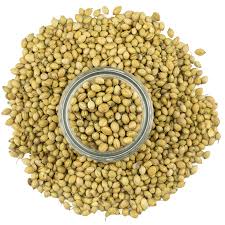Coriander Whole