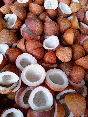 Dried Coconut Half Cut india