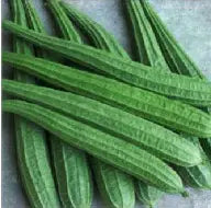 Fresh Ridge Gourd (Turai)