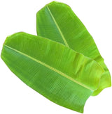 Fresh Banana Leaves