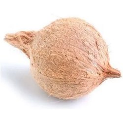 Fresh Coconut Whole