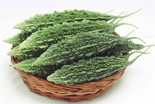 Fresh Bitter Gourd