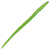 Fresh Drum stick