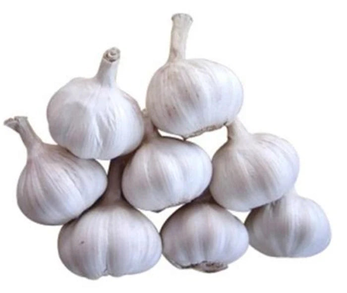 Fresh Garlic (Indian)