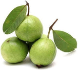Fresh Guava (Indian)
