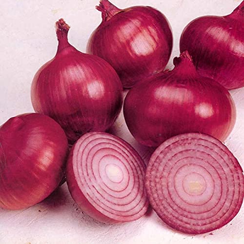Fresh Red Onion Big (Indian Kanda)