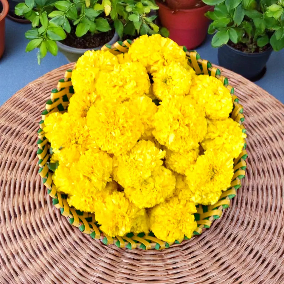 தாழம்பூ (இந்தியன்)