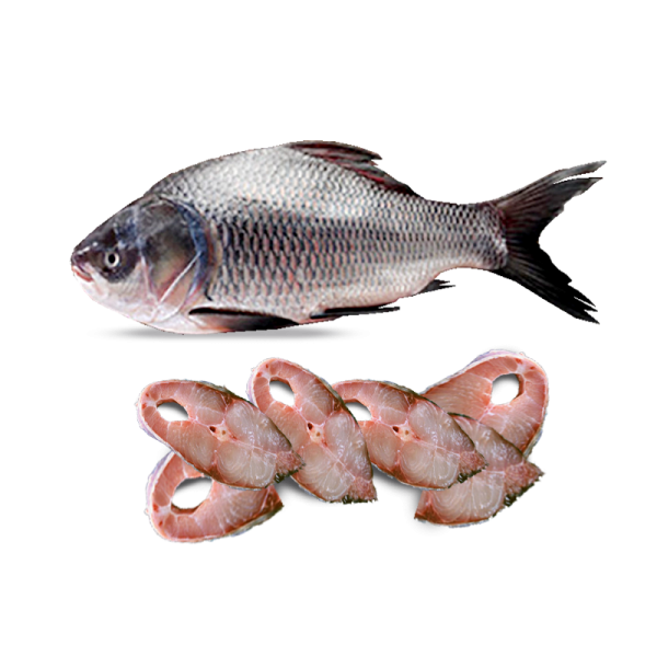 Frozen Fish Katal Cut