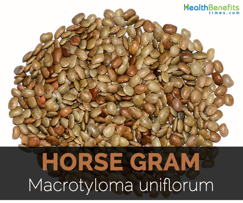Horse Gram Whole