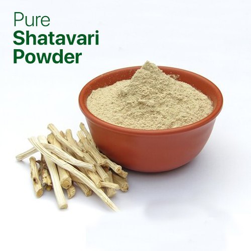Shatavari powder