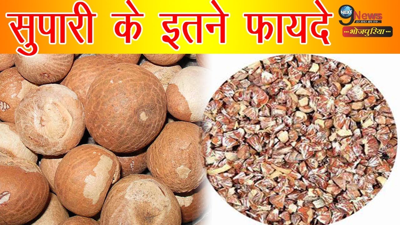 Betel Nuts Cutting Unroasted
