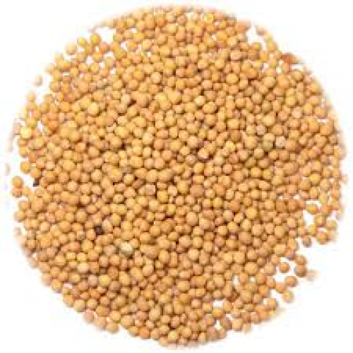 Mustard Seed Powder Yellow